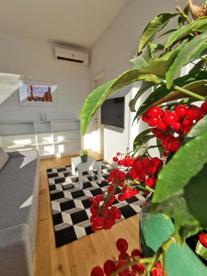 Apartmaji Egis 科佩尔 外观 照片