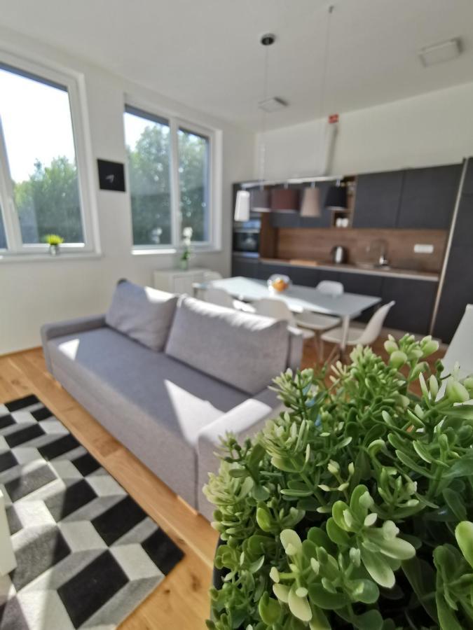 Apartmaji Egis 科佩尔 外观 照片