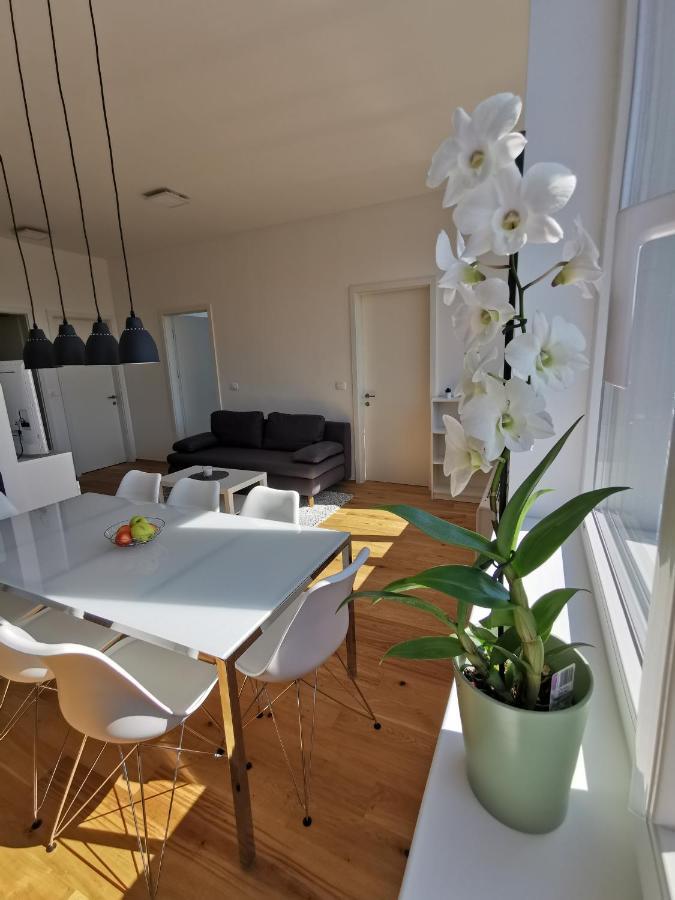 Apartmaji Egis 科佩尔 外观 照片
